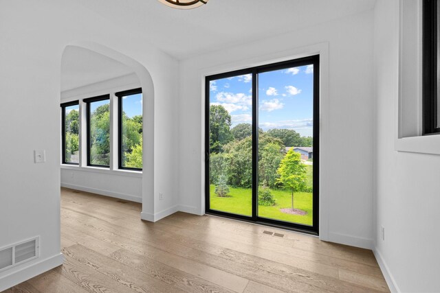 9612 Iron Horse Rd, Woodbury, MN 55129 - unfurnished room featuring light wood-style flooring and arched walkways