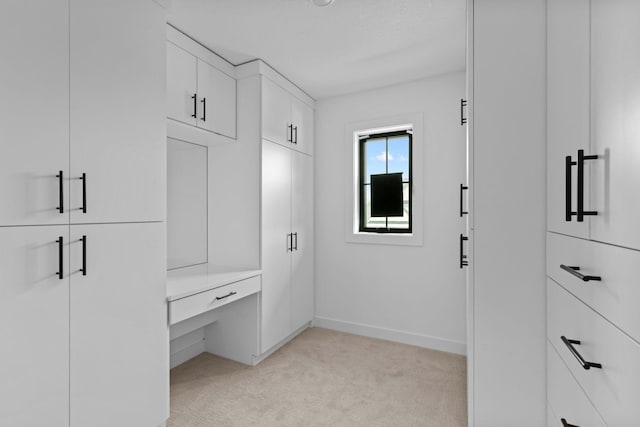 9612 Iron Horse Rd, Woodbury, MN 55129 - view of closet