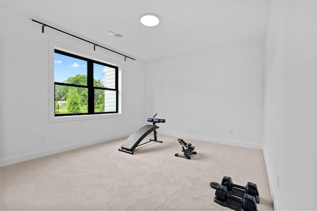 9612 Iron Horse Rd, Woodbury, MN 55129 - exercise area with carpet and baseboards