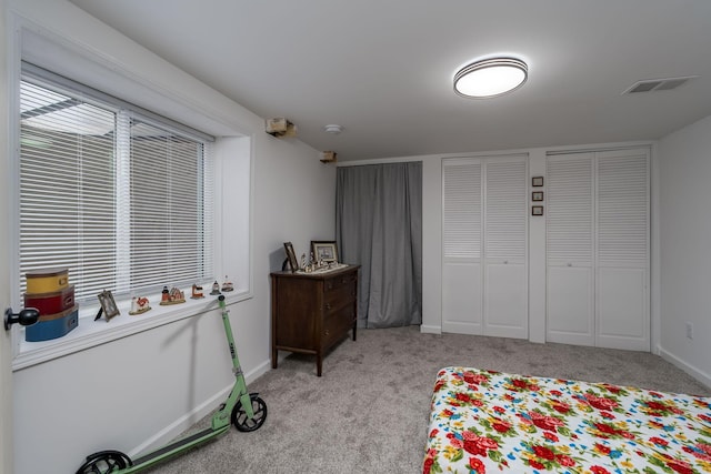 301 Nottingham Ct, North Mankato, MN 56003 - bedroom featuring carpet and multiple closets
