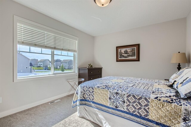 17958 Hawksbill Dr, Lakeville, MN 55044 - photo 24
