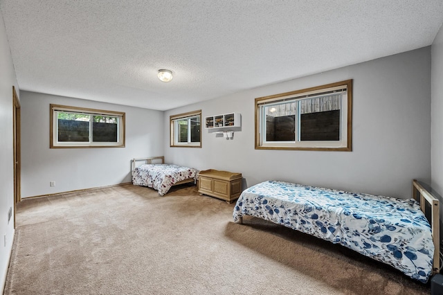 11542 Xavis St NW, Coon Rapids, MN 55433 - bedroom featuring carpet and a textured ceiling