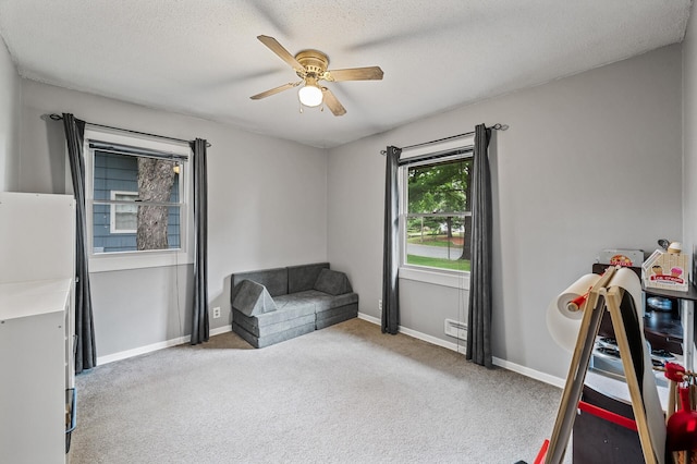 11542 Xavis St NW, Coon Rapids, MN 55433 - carpeted bedroom featuring a ceiling fan and a textured ceiling