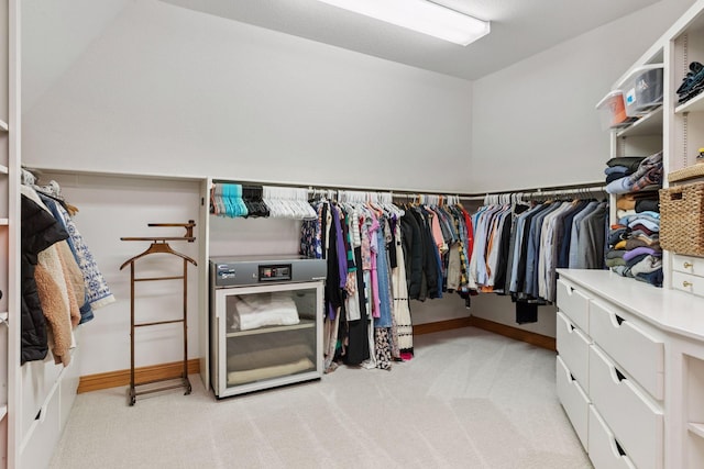 10 Apple Orchard Ct, Dellwood, MN 55110 - walk in closet with light colored carpet