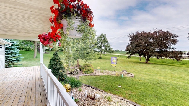 11 Westridge Ave SW, Salem Twp, MN 55920 - photo 6