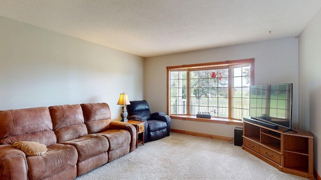 11 Westridge Ave SW, Salem Twp, MN 55920 - photo 9