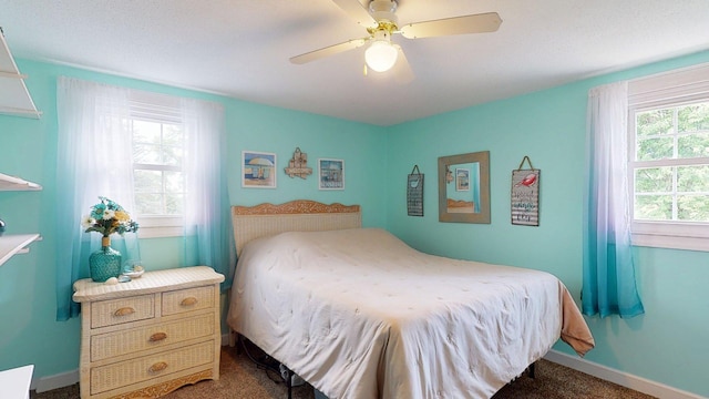 11 Westridge Ave SW, Salem Twp, MN 55920 - photo 36