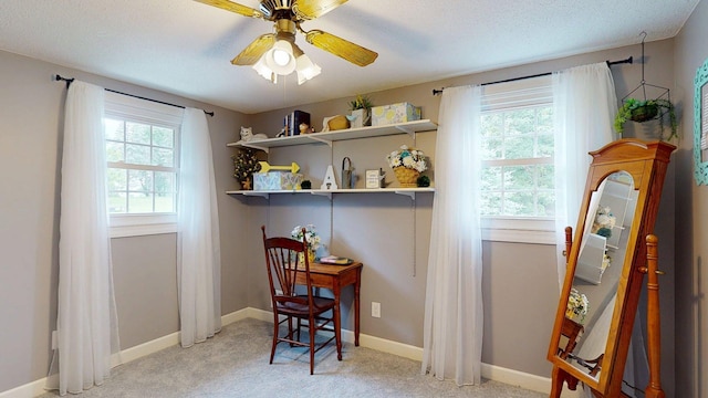 11 Westridge Ave SW, Salem Twp, MN 55920 - photo 37