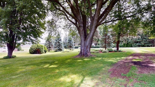 11 Westridge Ave SW, Salem Twp, MN 55920 - photo 54