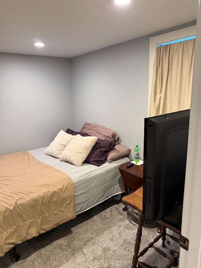 122 3rd St E, Morgan, MN 56266 - carpeted bedroom featuring recessed lighting