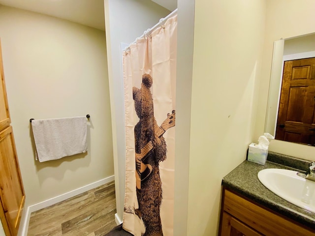 W7486 Burval Dr, Minong, WI 54859 - bathroom featuring wood finished floors, vanity, and curtained shower