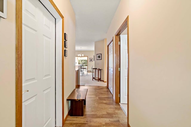 1112 Iris Dr, White Bear Twp, MN 55127 - corridor featuring light wood-type flooring and a chandelier