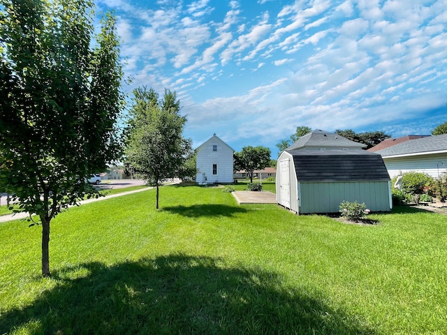 422 Sanborn St, Springfield, MN 56087 - view of grassy yard featuring a storage shed