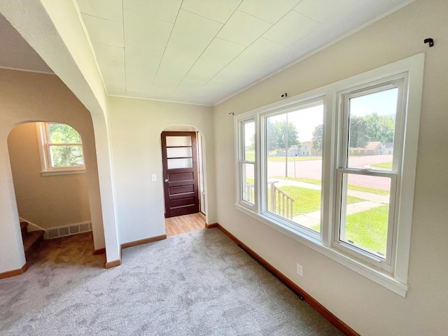 422 Sanborn St, Springfield, MN 56087 - carpeted foyer entrance featuring arched walkways, plenty of natural light, and stairs