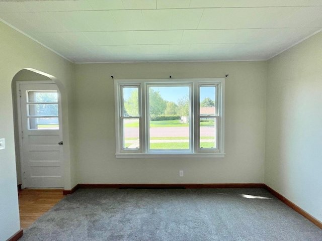 422 Sanborn St, Springfield, MN 56087 - carpeted empty room with arched walkways and ornamental molding