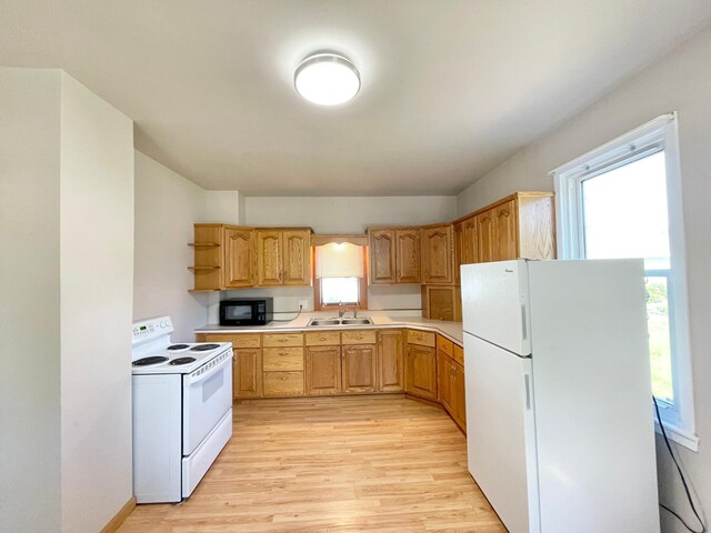 422 Sanborn St, Springfield, MN 56087 - kitchen featuring white appliances, open shelves, light wood-style floors, and light countertops