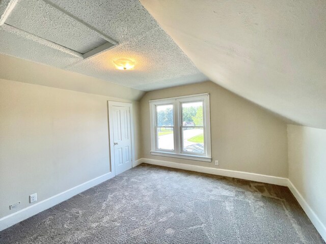 422 Sanborn St, Springfield, MN 56087 - bonus room featuring vaulted ceiling, carpet flooring, and a textured ceiling