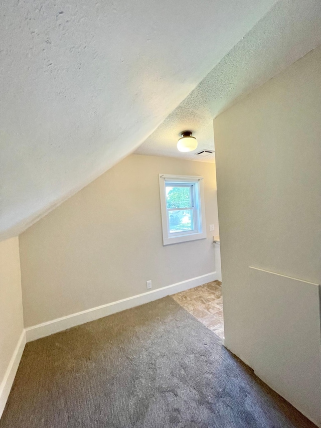 422 Sanborn St, Springfield, MN 56087 - bonus room featuring a textured ceiling, vaulted ceiling, and carpet flooring