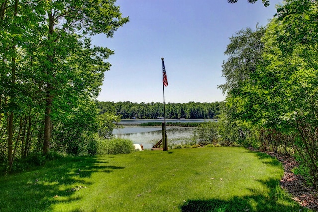 28395 Far N Dr, Nevis, MN 56467 - view of green lawn with a water view and a view of trees
