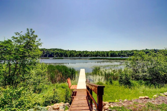 28395 Far N Dr, Nevis, MN 56467 - dock area with a view of trees and a water view