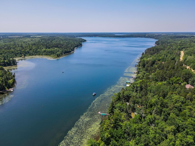 28395 Far N Dr, Nevis, MN 56467 - drone / aerial view of a forest and a large body of water