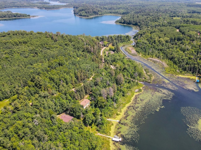 28395 Far N Dr, Nevis, MN 56467 - aerial view of a nearby body of water