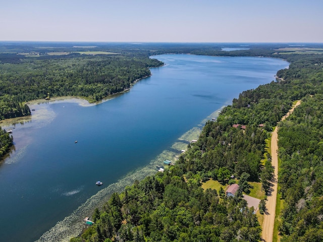 28395 Far N Dr, Nevis, MN 56467 - aerial view of a forest and a large body of water