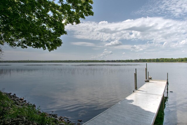 17997 Earle Brown Dr, Garrison, MN 56450 - photo 31