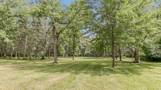2104 US Highway 8, Stanley Twp, WI 54822 - view of grassy yard featuring a wooded view