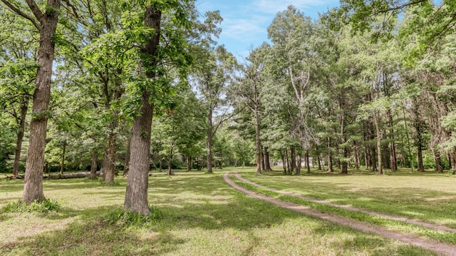 2104 US Highway 8, Stanley Twp, WI 54822 - view of grassy yard
