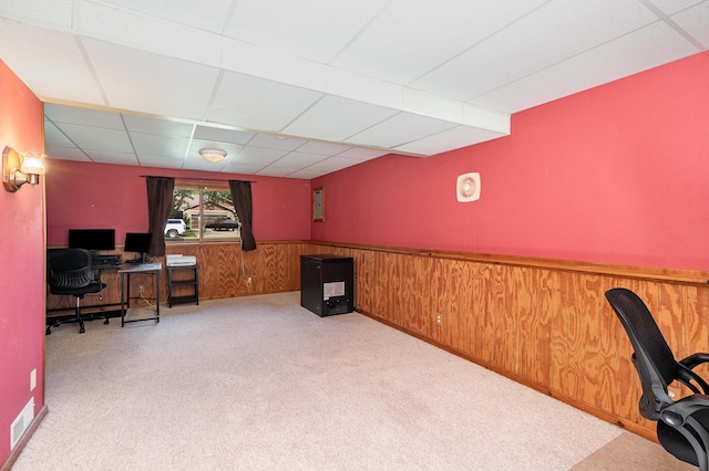 7141 Snow Owl Ln, Circle Pines, MN 55014 - photo 15
