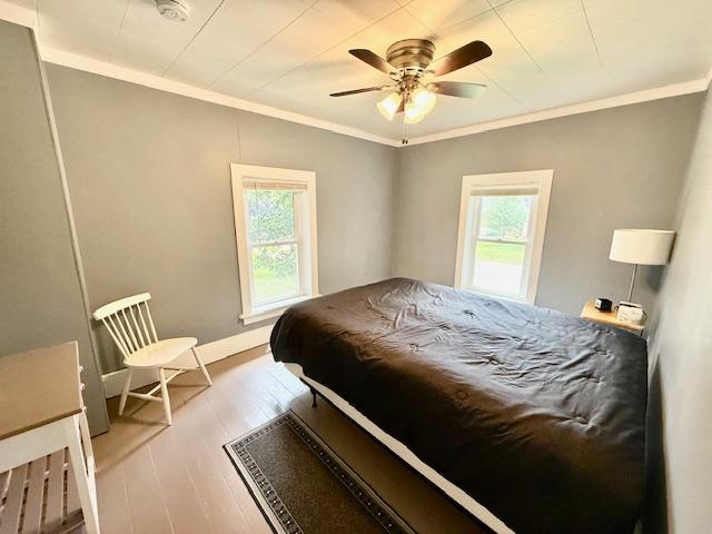 311 Grove St, Redwood Falls, MN 56283 - bedroom featuring multiple windows, ornamental molding, wood finished floors, and ceiling fan