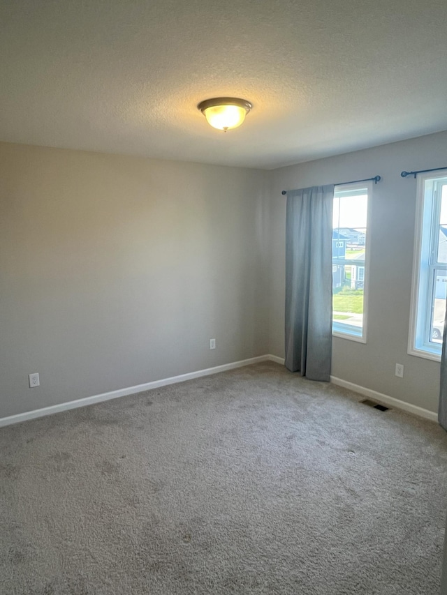 3790 Thrush St, Shakopee, MN 55379 - carpeted spare room featuring a textured ceiling