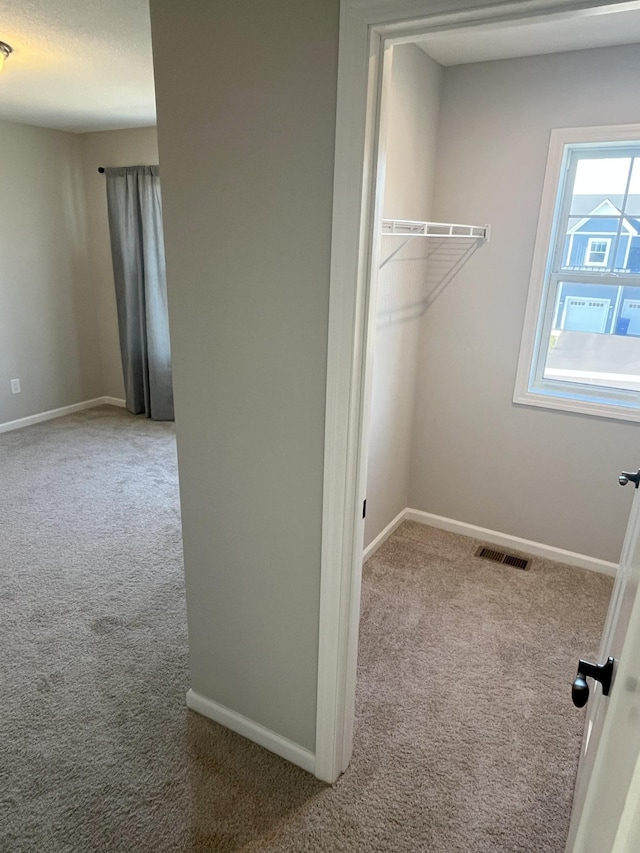 3790 Thrush St, Shakopee, MN 55379 - spacious closet with carpet flooring