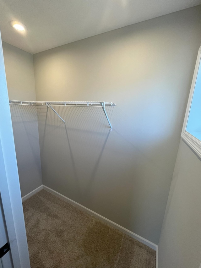 3790 Thrush St, Shakopee, MN 55379 - spacious closet with carpet flooring