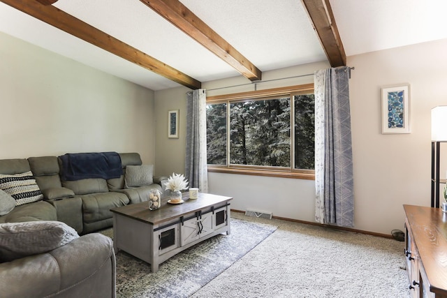 13998 62nd Ave N, Maple Grove, MN 55311 - photo 4