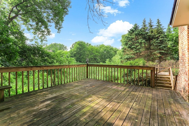13998 62nd Ave N, Maple Grove, MN 55311 - photo 24