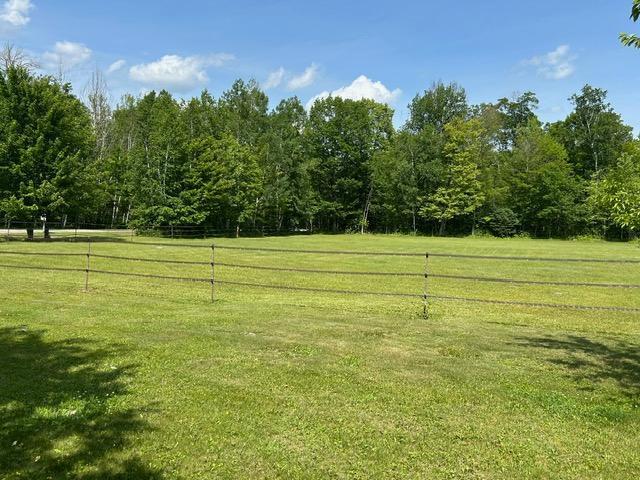 28599 Westwood Ln, Harris Twp, MN 55744 - view of yard with a view of rural / pastoral area and a forest view