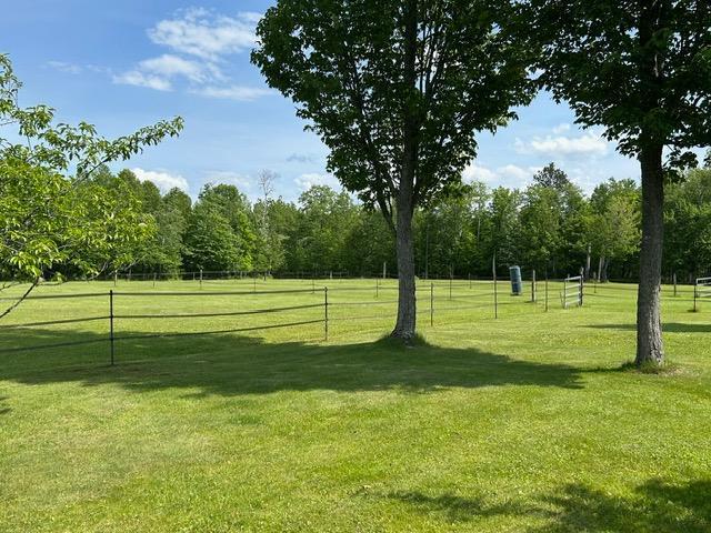 28599 Westwood Ln, Harris Twp, MN 55744 - view of yard
