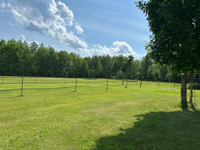 28599 Westwood Ln, Harris Twp, MN 55744 - view of yard