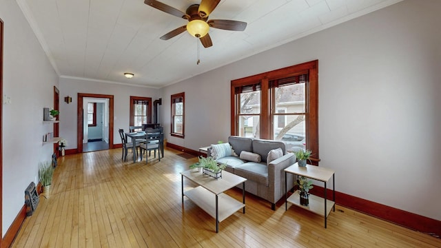 429 7th St NW, Rochester, MN 55901 - living room featuring ornamental molding, light wood-style flooring, and ceiling fan