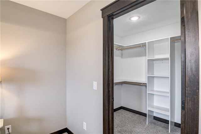 232 Chestnut St, Ellsworth, WI 54011 - walk in closet with carpet flooring
