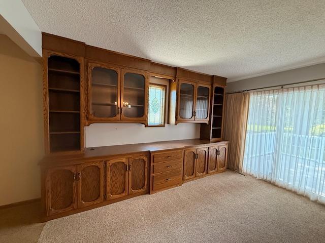 2411 Douglas St, Windom, MN 56101 - unfurnished office featuring light carpet, a textured ceiling, and plenty of natural light