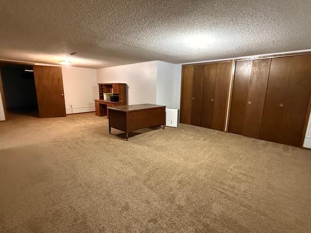 2411 Douglas St, Windom, MN 56101 - carpeted office featuring a textured ceiling and a baseboard radiator