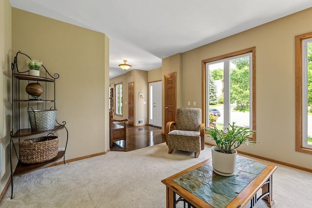 2227 Stone Creek Ln E, Chanhassen, MN 55317 - living area with carpet floors and plenty of natural light
