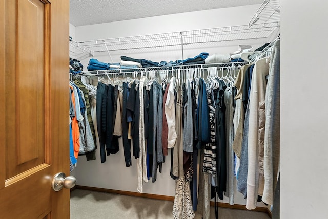 2227 Stone Creek Ln E, Chanhassen, MN 55317 - spacious closet with carpet flooring