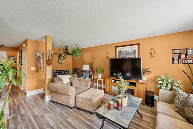 3950 Upper 75th St E, Inver Grove Heights, MN 55076 - living room with wood finished floors and a textured ceiling