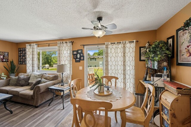 3950 Upper 75th St E, Inver Grove Heights, MN 55076 - photo 8