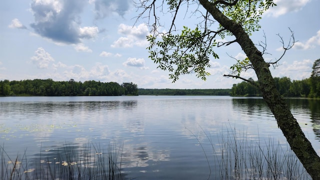 26810 Hart Lake Rd, Pengilly, MN 55775
