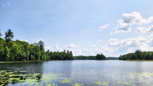 26810 Hart Lake Rd, Pengilly, MN 55775